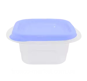 Контейнер (емкость) для пищевых продуктов "Омега" квадратный - 0,45л Прозрачный/Фиолетовый